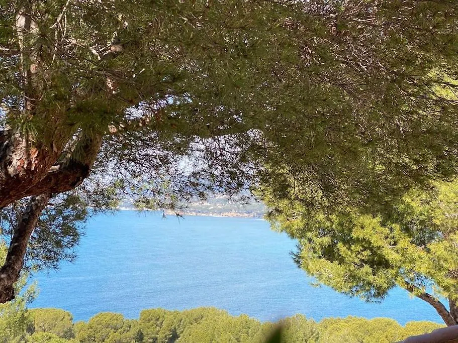 T2 Vue Mer Avec Balcon, Climatise, Piscine 滨海圣西尔 公寓