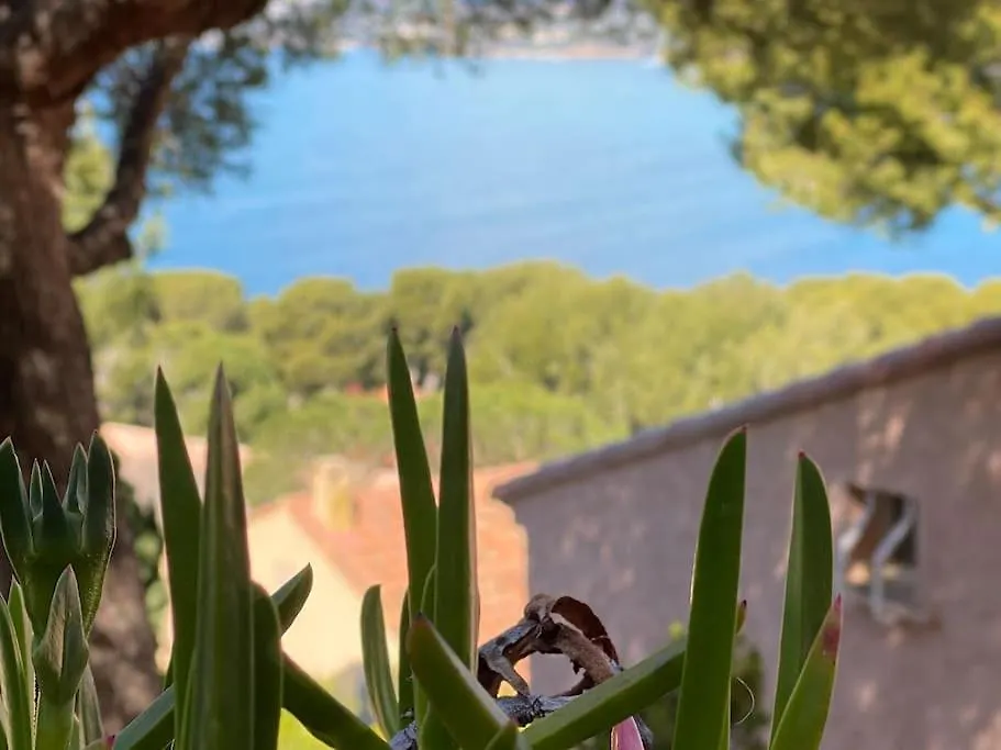 Apartment T2 Vue Mer Avec Balcon, Climatise, Piscine Saint-Cyr-sur-Mer